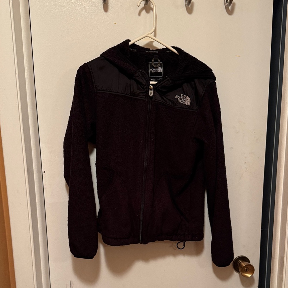 The North Face Dark Fleece Hoodie